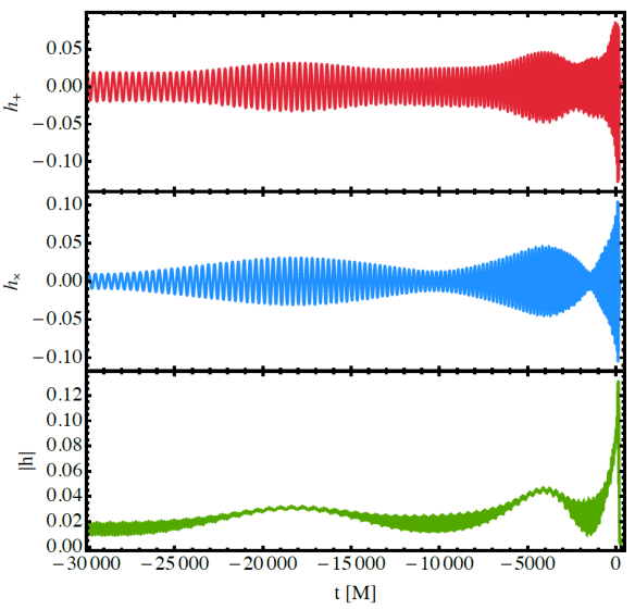 Precessing black hole signal